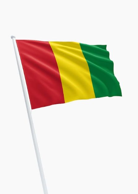 Vlag Guinee - 150x225cm Spun-Poly